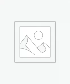 Nơi nhập dữ liệu